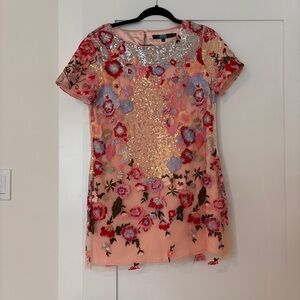 Sequin & Embroidered mini dress
